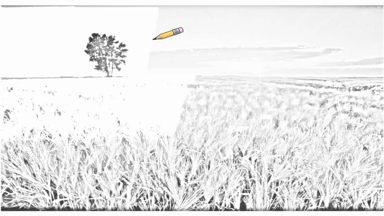 Corn Field Drawing at Explore collection of Corn Field Drawing