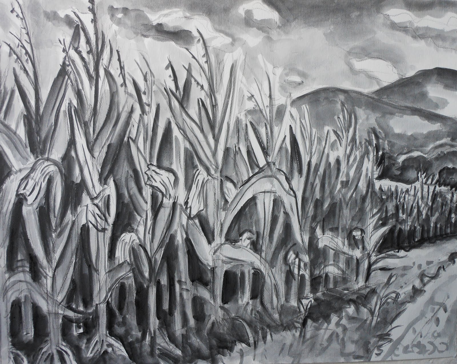 1600x1275 Kate Knapp Artist Blog The Corn Field - Corn Field Drawing