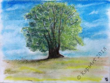 375x282 Loan Oak Tree In A Corn Field, Original Pastel Sketch Drawing - Corn Field Drawing