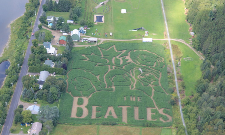 750x450 Times Transcript - Corn Field Drawing