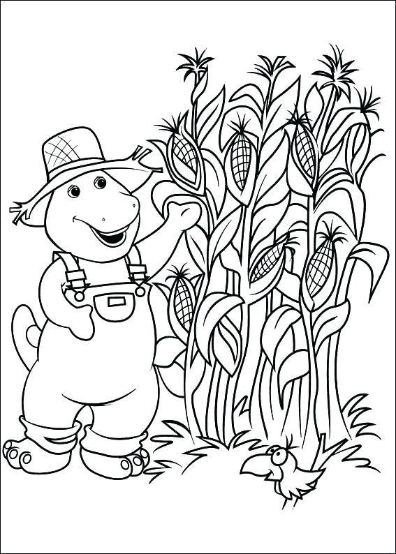 567x794 corn field drawing at getdrawings com free for personal use corn - Corn Field Drawing
