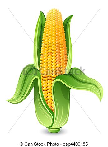 347x470 Maize Stock Illustrations Maize Clip Art Images And Royalty - Corn Images Drawings