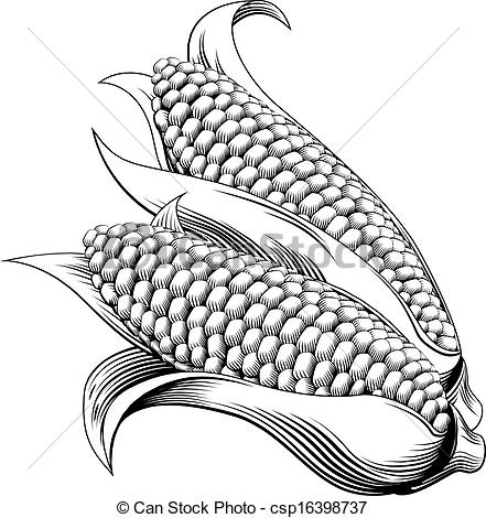 441x470 Vintage Retro Woodcut Sweetcorn A Vintage Retro Woodcut Print - Corn Images Drawings