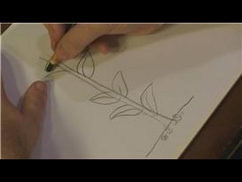 480x360 how to draw flowers how to draw corn stalks - Corn Plant Drawing