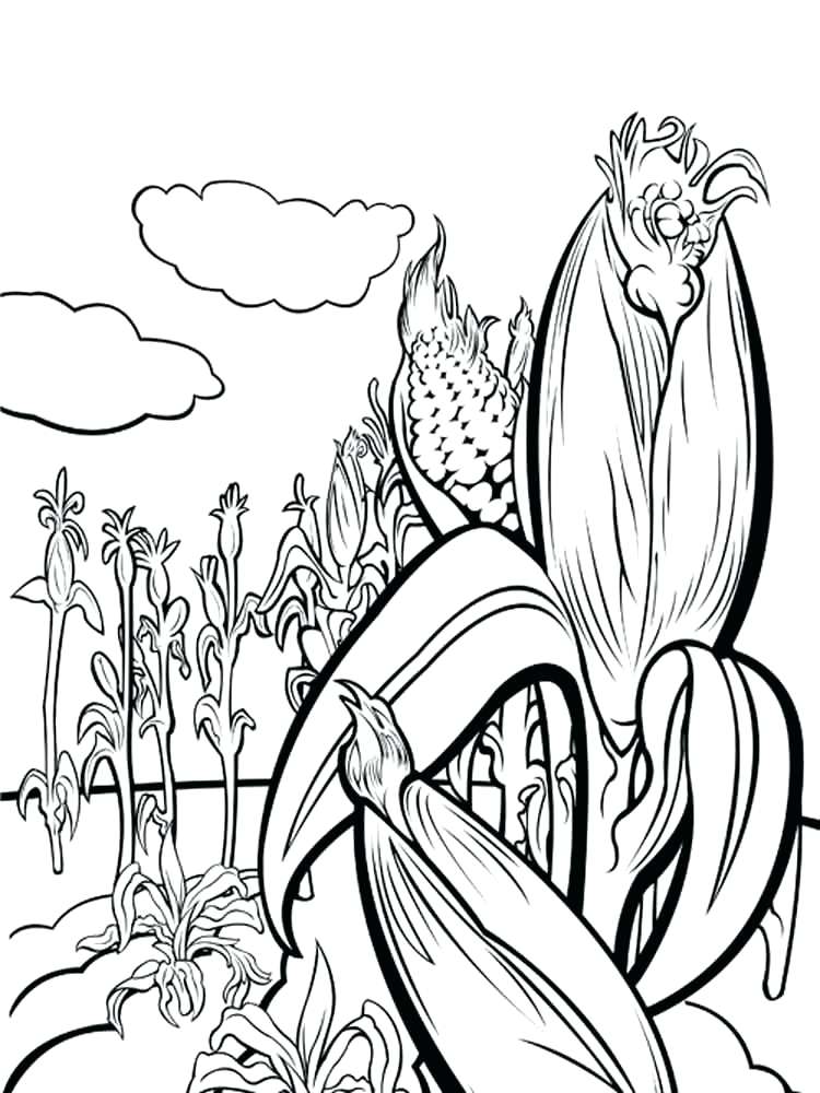 750x1000 Coloring Pages Corn - Corn Plant Drawing
