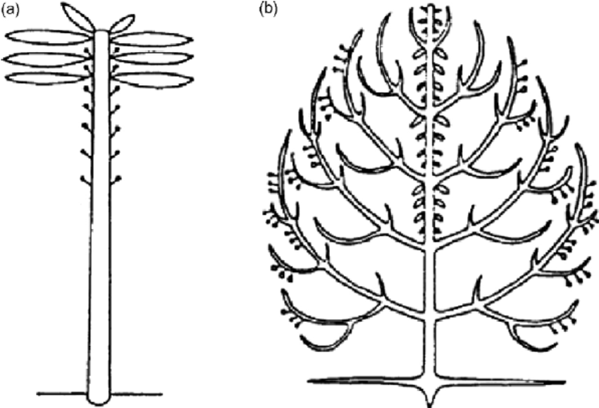 850x579 Architectural Models Illustrated With Drawings - Corner Drawings