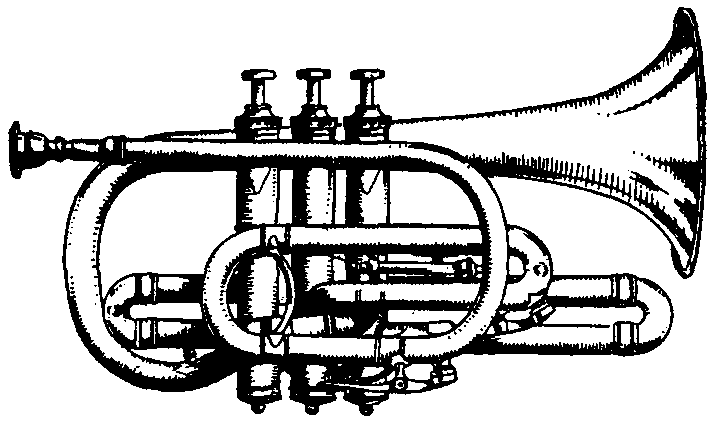 716x423 Filebritannica Cornet With Strictly Conical Bore - Cornet Drawing