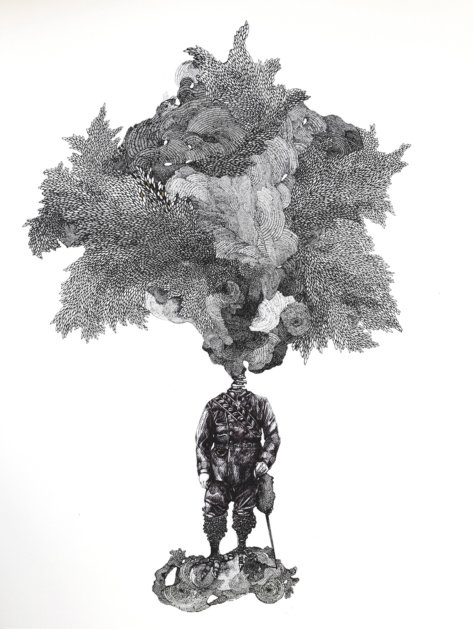 1505x2000 Solmaz Cornet - Cornet Drawing