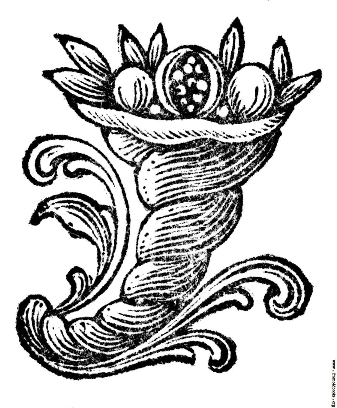 1123x1359 Cornucopia Drawing, Pencil, Sketch, Colorful, Realistic Art Images - Cornucopia Drawing