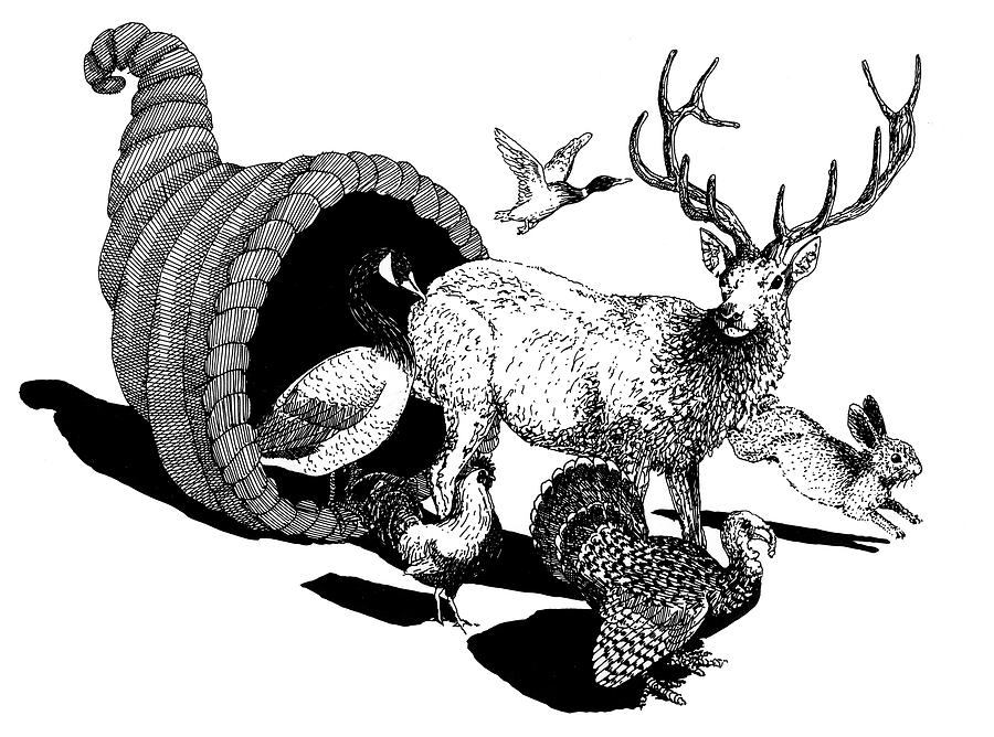 900x668 Cornucopia Drawing - Cornucopia Drawing