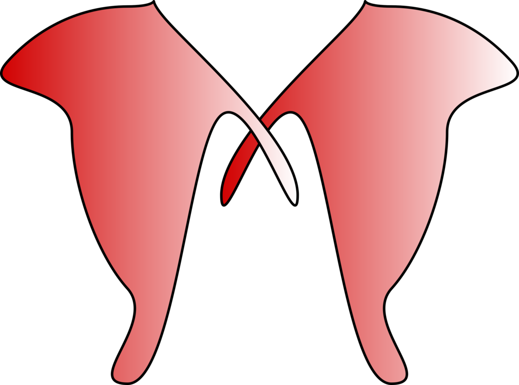 1011x750 Download Computer Icons Corsage Drawing - Corsage Drawing