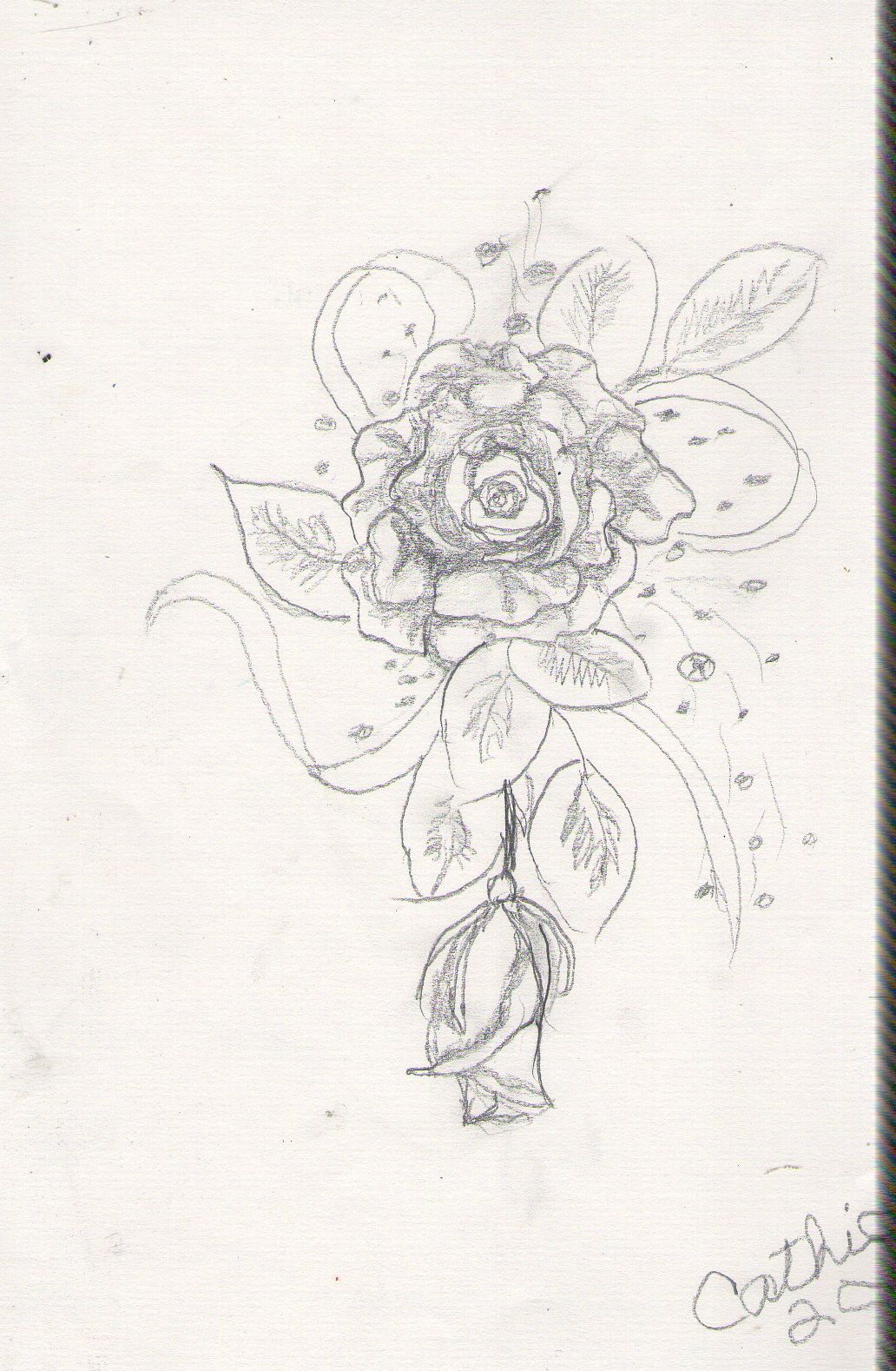 1032x1578 a rose corsage dream drawings drawings, dream drawing, sketches - Corsage Drawing