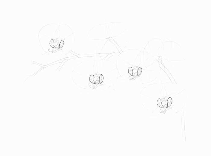 700x520 cosmetic coloring pages inspirational turning graphs into line - Cosmetic Drawings