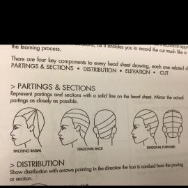 270x270 How To Drawread A Head Sheet - Cosmetology Drawings