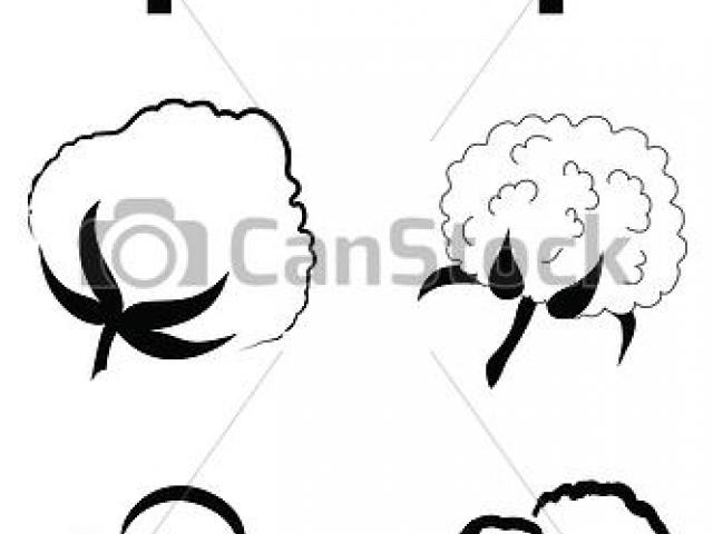 640x480 Cotton Clipart Cotton Boll - Cotton Boll Drawing