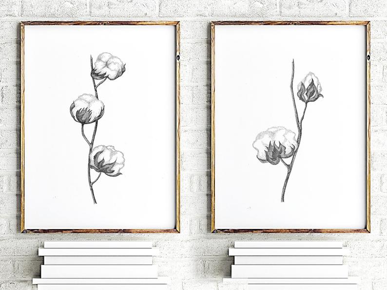 794x595 Set Of Cotton Flowers Cotton Bolls Minimalist Painting Etsy - Cotton Boll Drawing