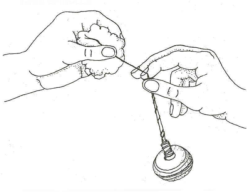 797x620 how to spin cotton on a spindle the woolery - Cotton Drawing