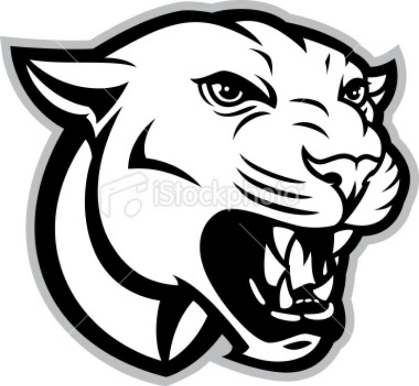 820x757 cougar drawing free download - Cougar Drawing