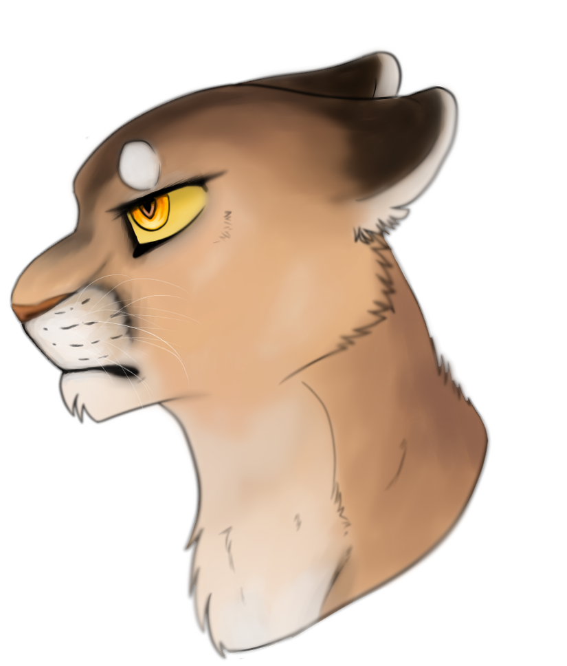 825x968 cougar drawing ig - Cougar Drawing