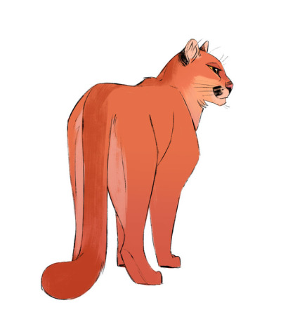 400x462 cougar drawing tumblr - Cougar Drawing