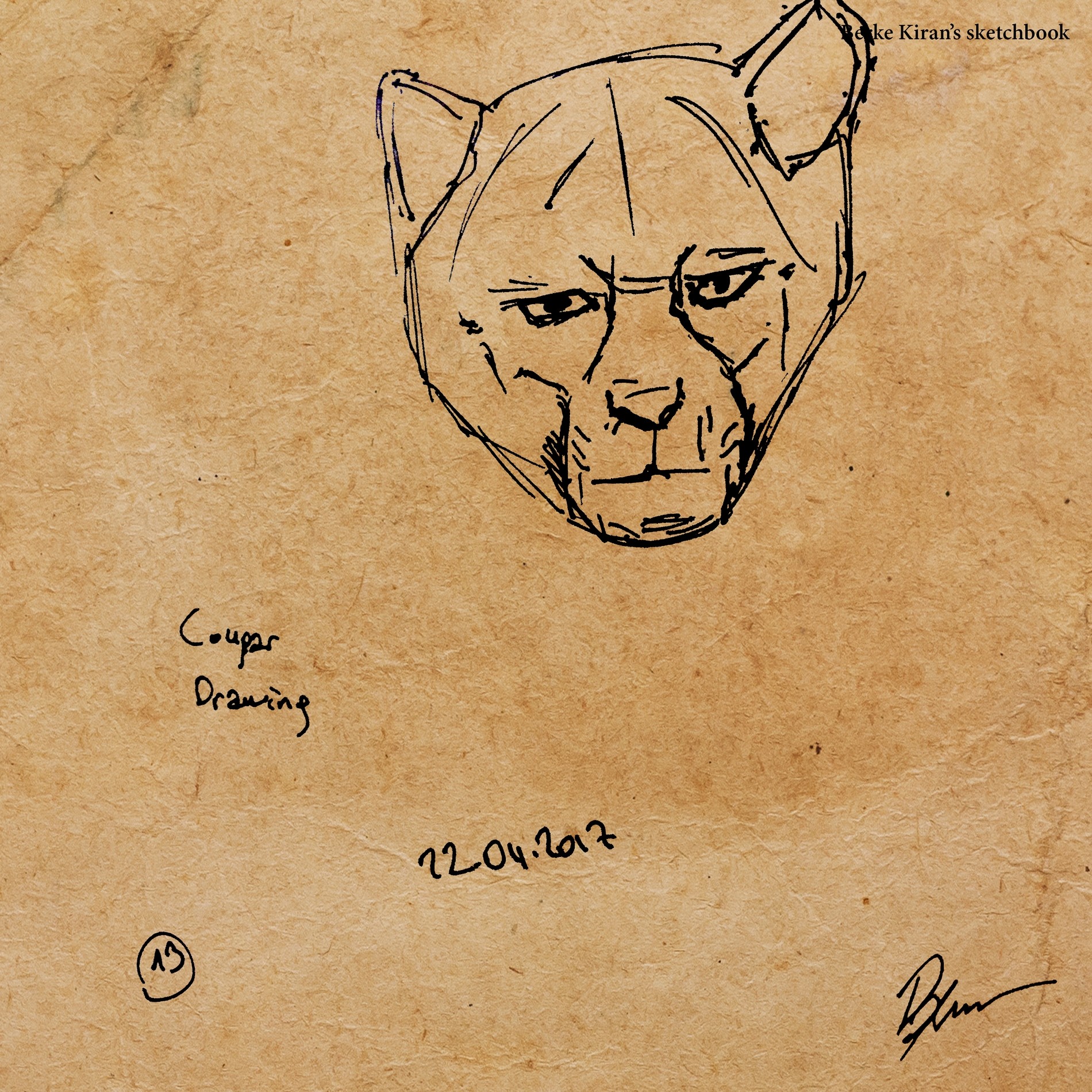 1900x1900 Artstation - Cougar Drawing