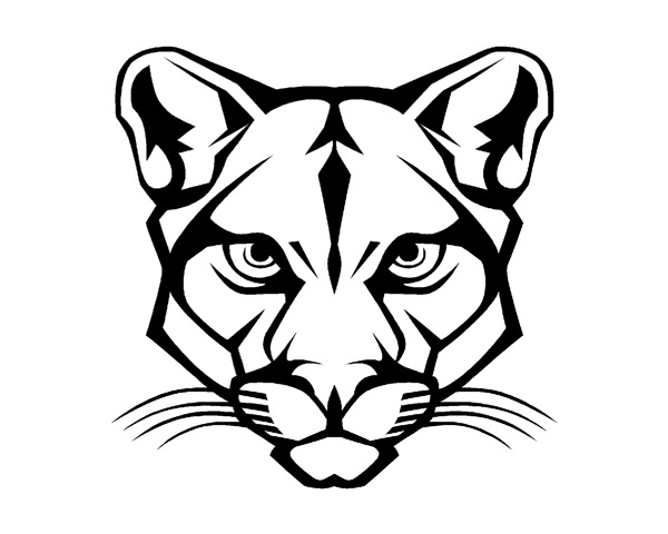 600x480 cougar amazing drawing drawing skill - Cougar Drawing