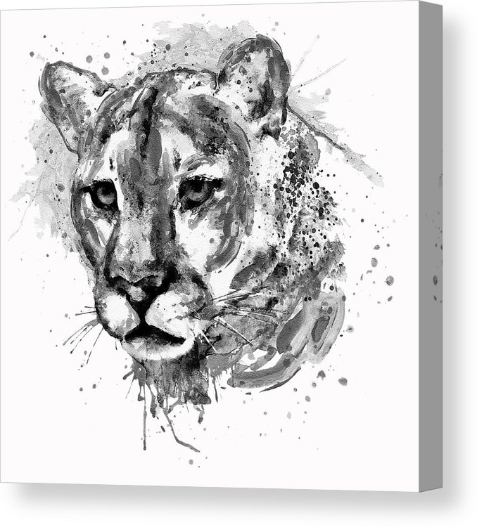 678x750 cougar head black and white canvas print canvas art - Cougar Head Drawing