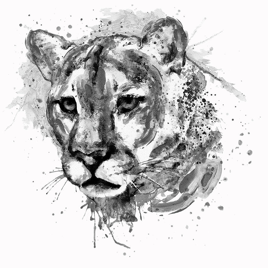 900x900 cougar head black and white painting - Cougar Head Drawing