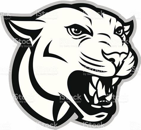 474x438 cougar head drawing gtgt - Cougar Head Drawing