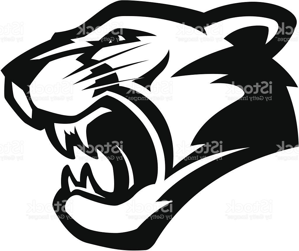 1024x859 hd cougar head mascot bw vector pictures - Cougar Head Drawing