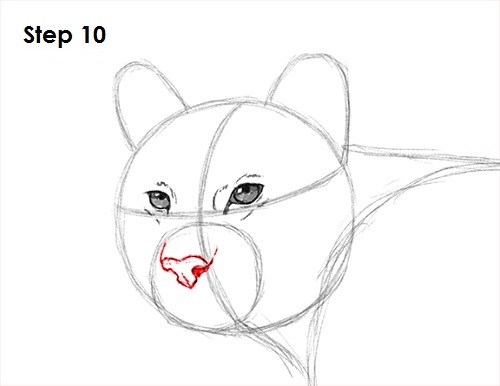 500x386 how to draw a cougar - Cougar Head Drawing
