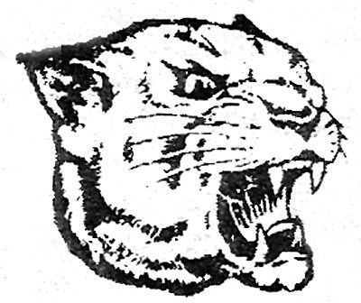 400x336 cougar head pcpatriot - Cougar Head Drawing