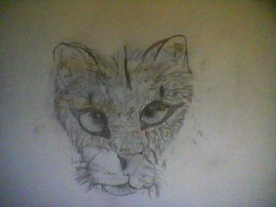 400x300 cougar head - Cougar Head Drawing