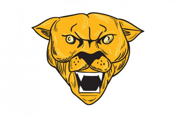 580x387 angry cougar mountain lion head drawing - Cougar Head Drawing