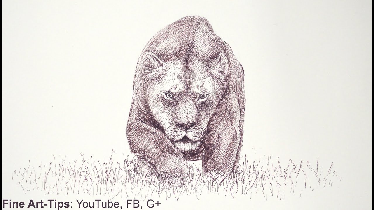 1280x720 How To Draw Draw A Lioness With A Marker - Cougar Line Drawing