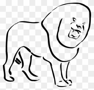 320x305 Lion Drawing Line Art Pencil - Cougar Line Drawing