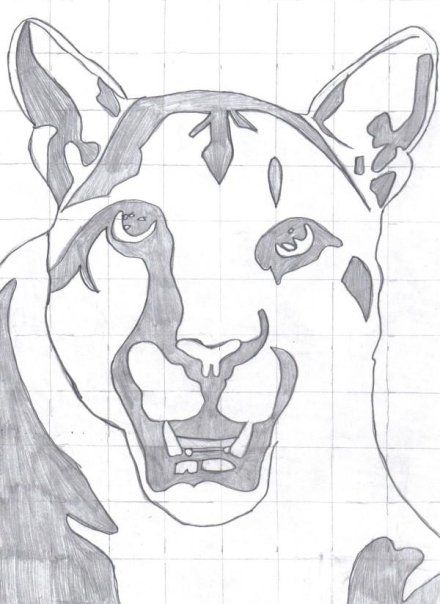 440x604 cougar line drawing - Cougar Line Drawing