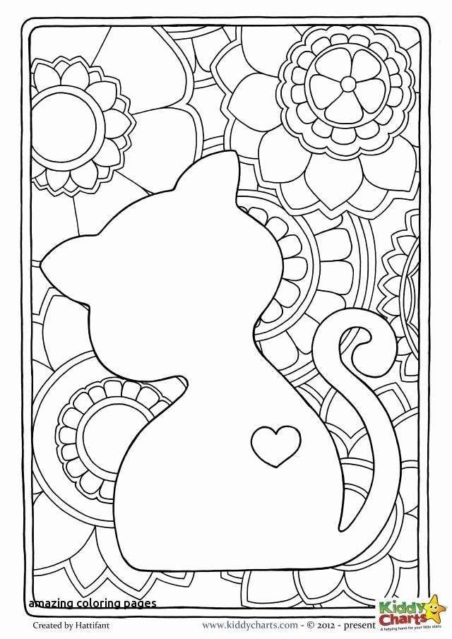 640x905 cougar paw print coloring pages unique tiger paw prints walking - Cougar Paw Drawing