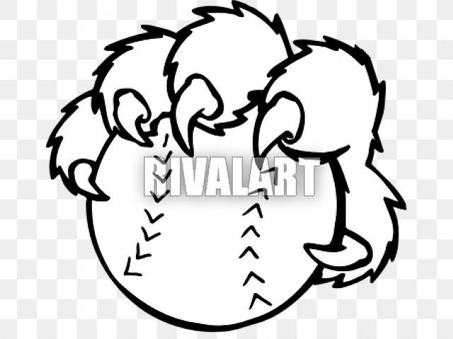 640x480 drawn cougar cougar paw - Cougar Paw Drawing