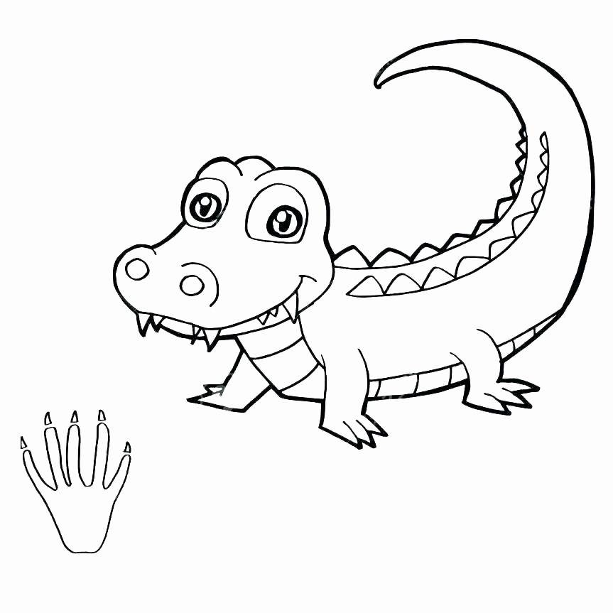 863x863 baryonyx coloring pages lovely great wolf lodge coloring pages new - Cougar Paw Drawing
