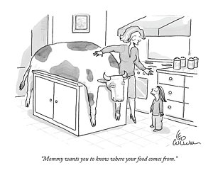 300x244 kitchen counter drawings fine art america - Counter Drawing