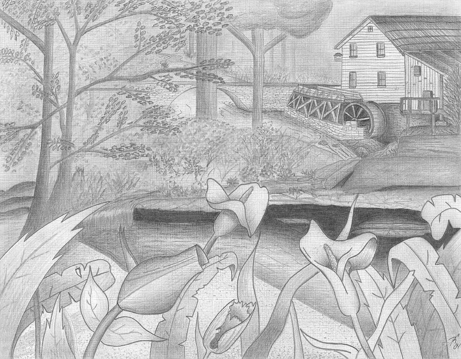 900x700 in the country drawing - Country Drawings