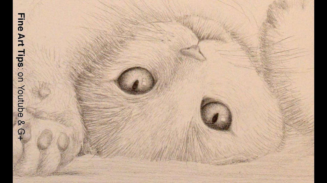 1280x720 How To Draw A Cat - Couple Drawing Pic