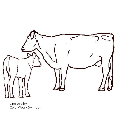 870 Top Jersey Cow Coloring Pages Images & Pictures In HD