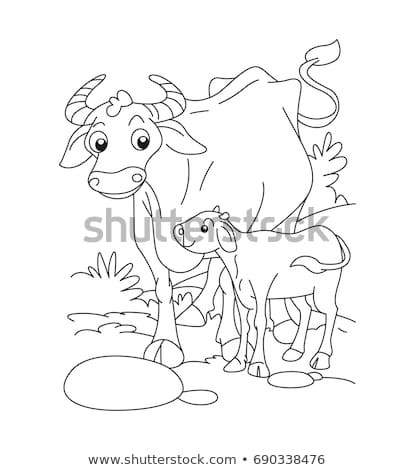 415x470 Cow Calf Coloring - Cow Calf Drawing