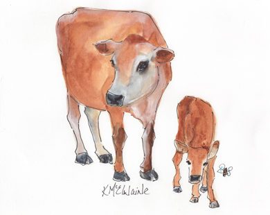 390x310 Kmcelwaine Original Watercolor Painting Cow Calf - Cow Calf Drawing