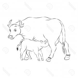 300x300 stock illustration cow calf vector illustration image arenawp - Cow Calf Drawing
