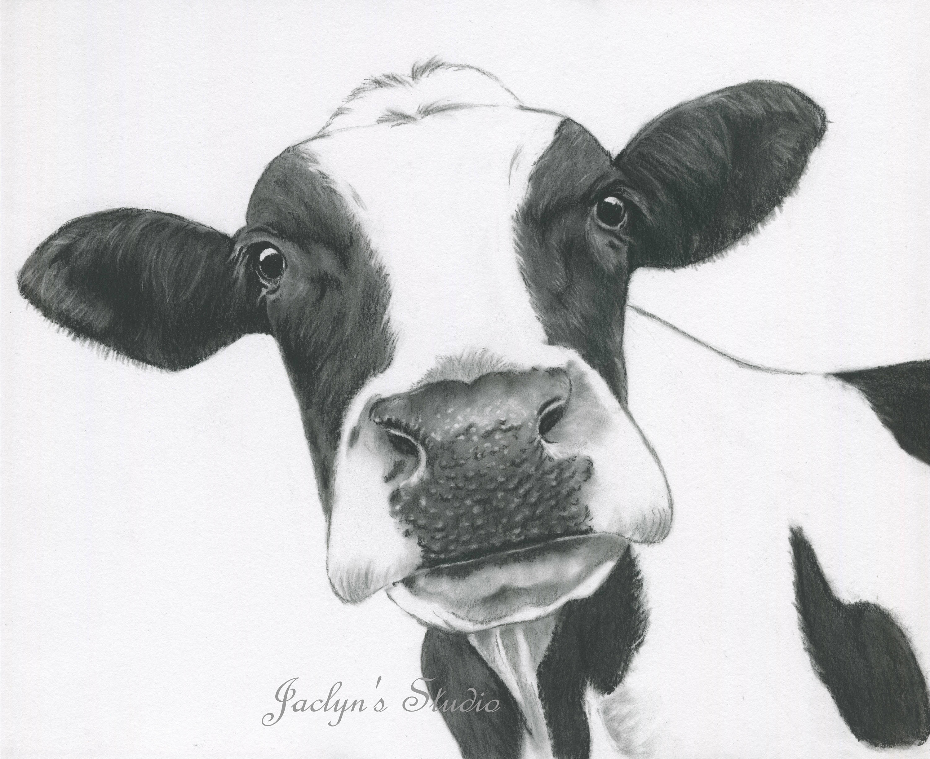 Dessin Vache Simple / dessin facile vache