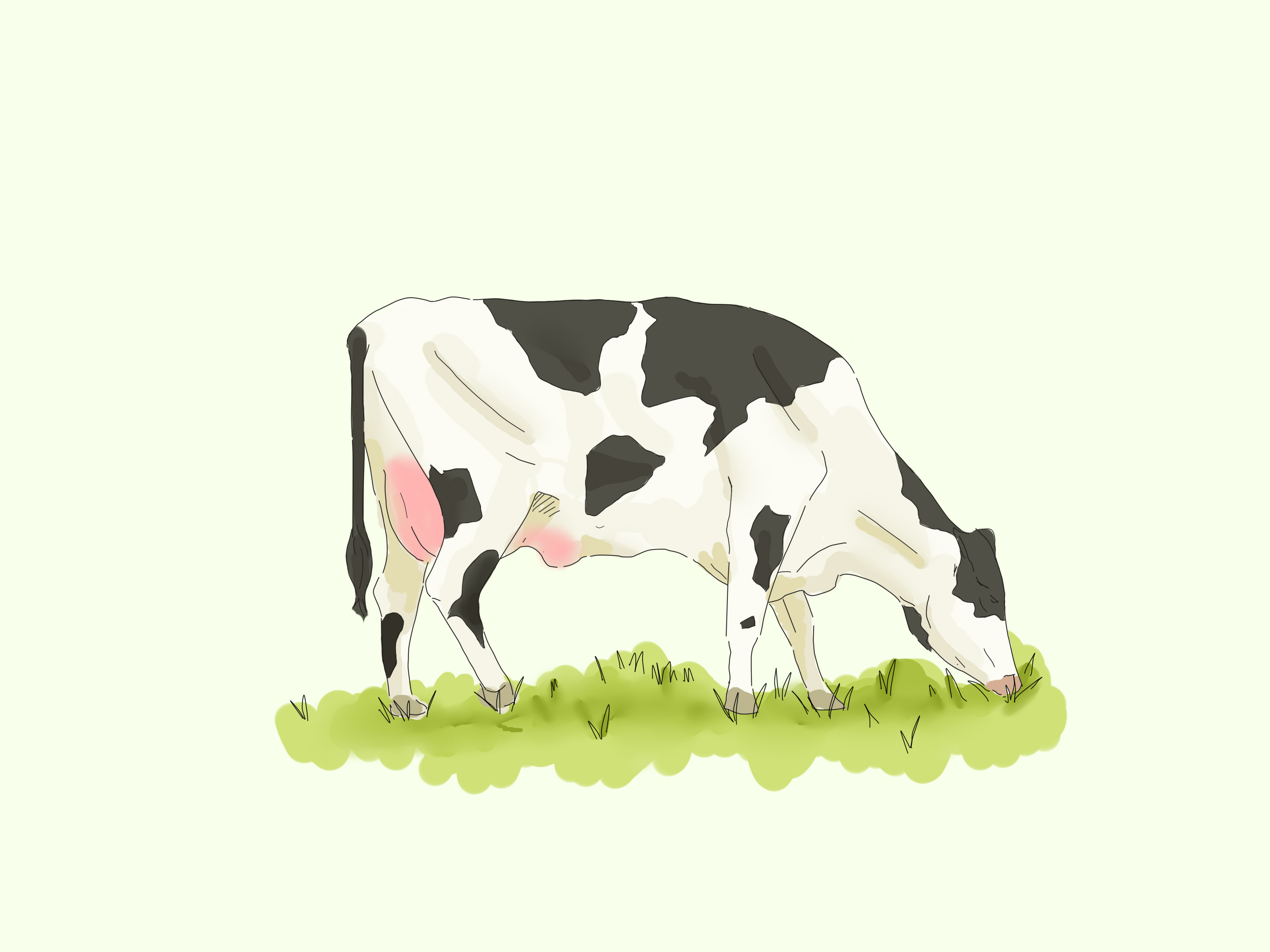 3200x2400 Ways To Draw A Cow - Cow Drawing
