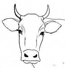 220x229 best cow drawing images cow painting, animal drawings, animal - Cow Drawing